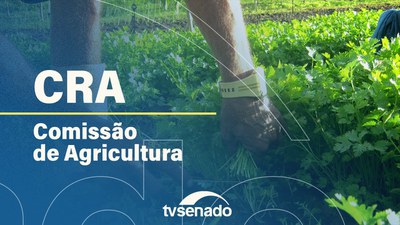Ao vivo: Comissão de Agricultura analisa emendas à LDO para 2024