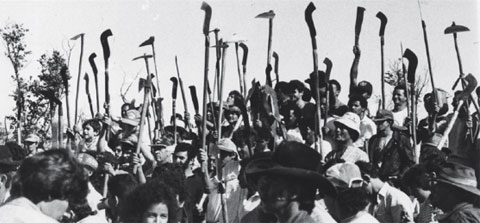 Crédito: Documentos Revelados