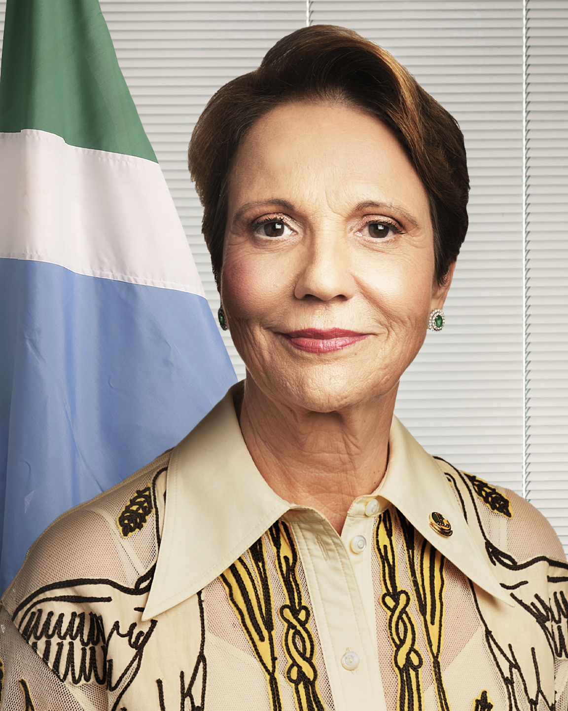 Senadora Tereza Cristina - Senado Federal