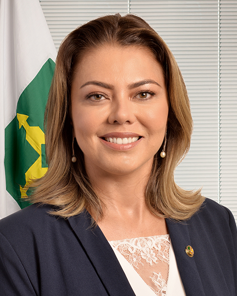Senadora Leila Barros (PDT/DF)